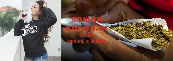 индика Ростов