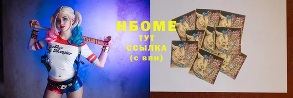 индика Ростов