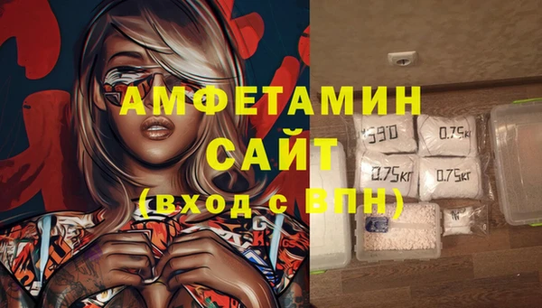 индика Ростов