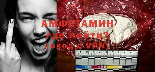 индика Ростов