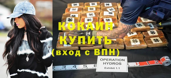 индика Ростов