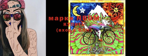 индика Ростов