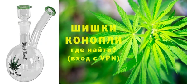 индика Ростов