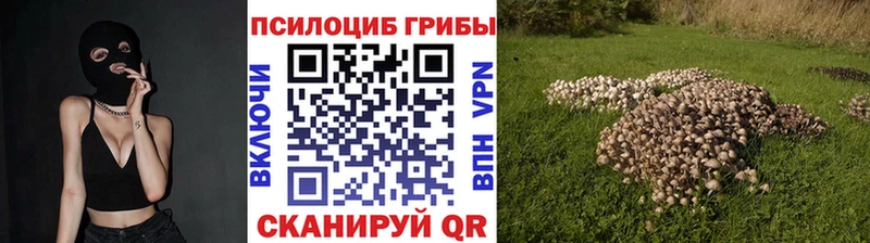 Псилоцибиновые грибы Cubensis  Купить  Советский 