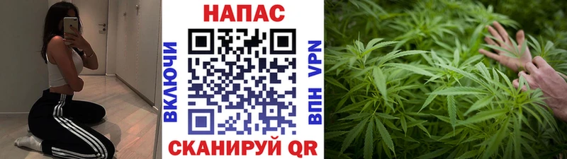 Купить где  Советский  Бошки Шишки Amnesia 